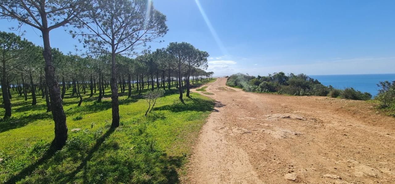 Baia Da Luz Luz Beach 1 Bedroom Apartment 외부 사진
